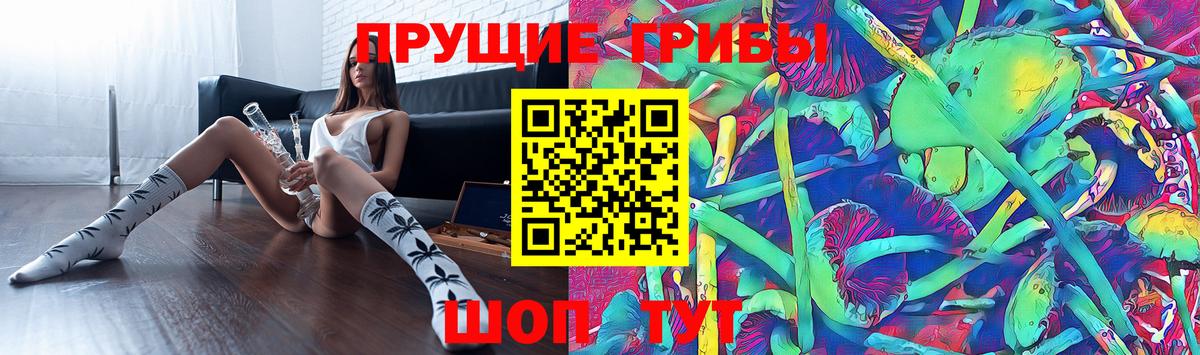 Псилоцибиновые грибы прущие грибы  купить  цена  Муром  Вход с VPN 