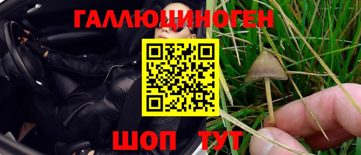 Псилоцибиновые грибы GOLDEN TEACHER Муром